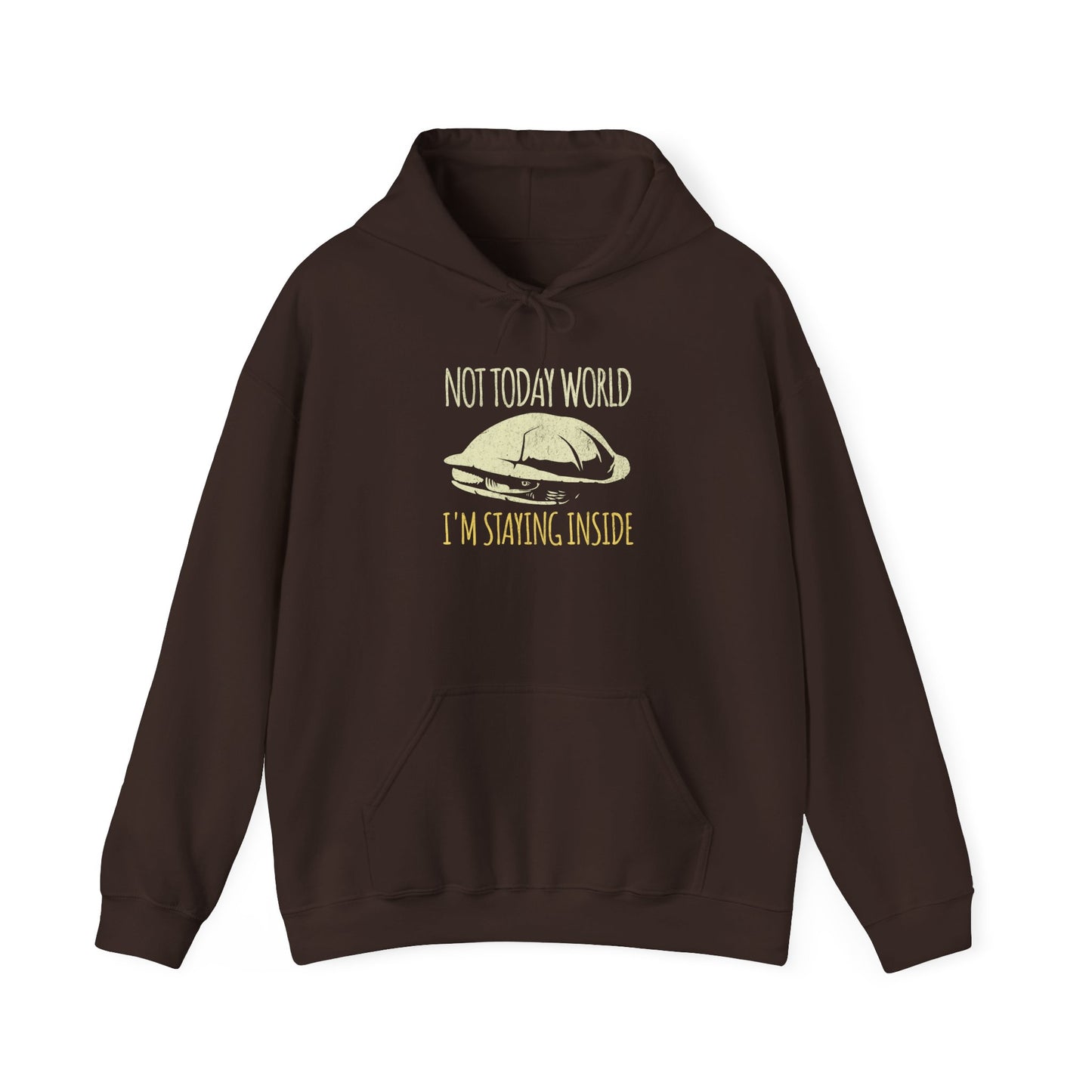 Not Today World Staying Inside Turtle Hoodie, Funny Turtle Hoodie, Introvert Hoodie, Tortoise Hoodie, Antisocial Hoodie, Cozy Meme Sweatshirt, Funny Animal Hoodie