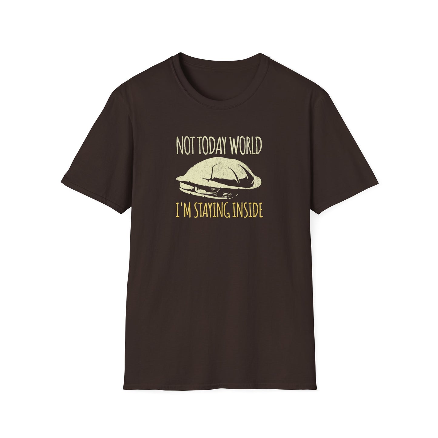 Funny Turtle T-Shirt, Not Today World I’m Staying Inside Shirt, Introvert Turtle Tee, Hermit Mood Shirt, Cute Turtle Lover Gift