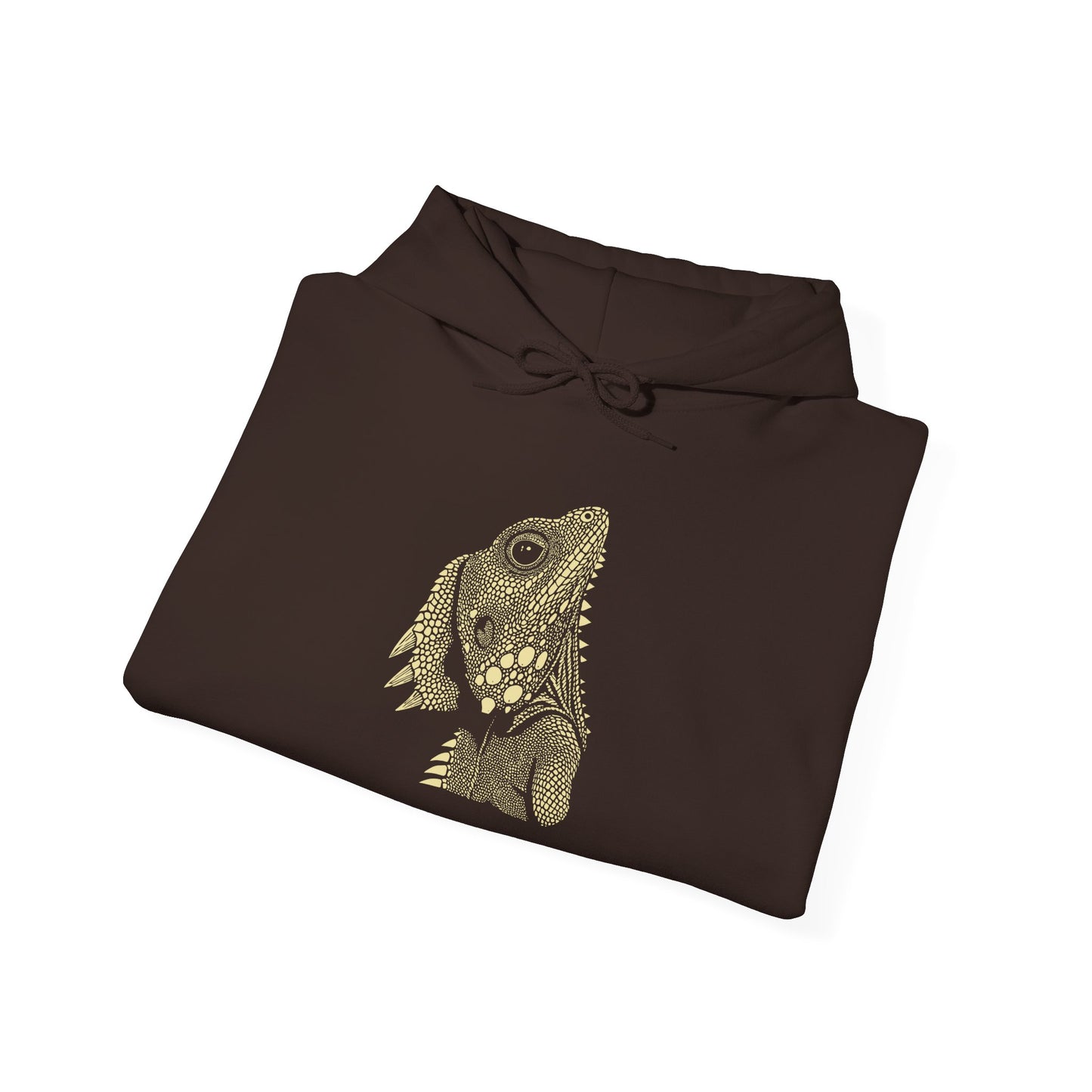Boyd’s Forest Dragon Hoodie, Australian Lizard Hoodie, Reptile Hoodie, Herpetology Hoodie, Dragon Lizard Sweatshirt, Aussie Wildlife Hoodie, Reptile Lover Gift