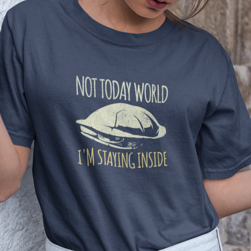 Funny Turtle T-Shirt, Not Today World I’m Staying Inside Shirt, Introvert Turtle Tee, Hermit Mood Shirt, Cute Turtle Lover Gift