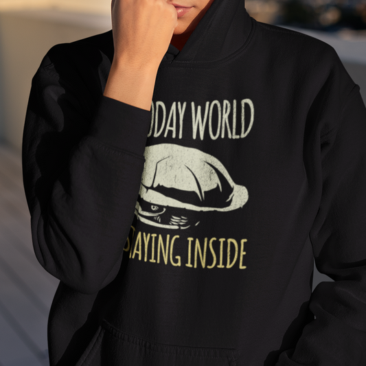 Not Today World Staying Inside Turtle Hoodie, Funny Turtle Hoodie, Introvert Hoodie, Tortoise Hoodie, Antisocial Hoodie, Cozy Meme Sweatshirt, Funny Animal Hoodie