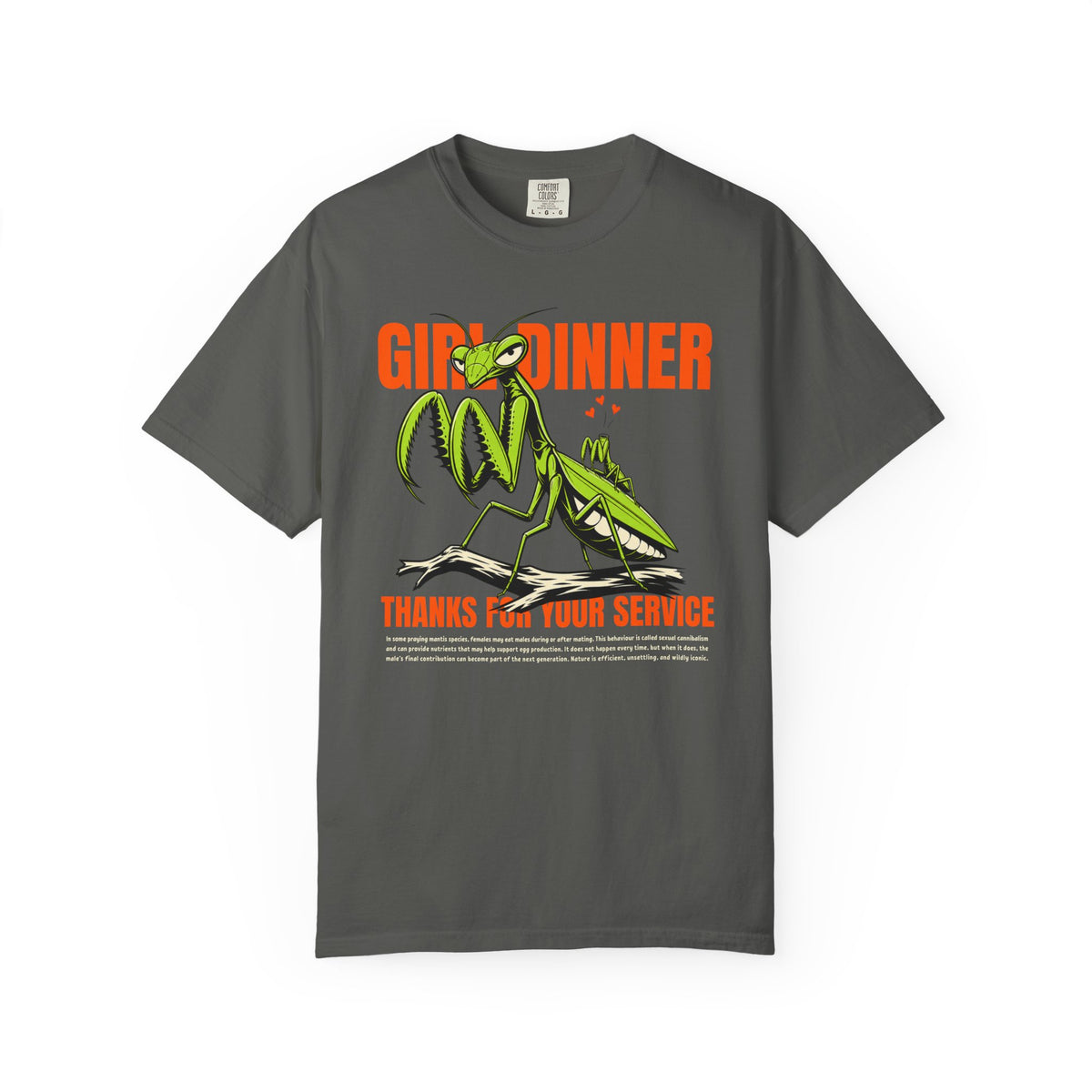 Praying Mantis Girl Dinner Shirt, Comfort Colors Mantis Tee, Funny Insect T Shirt, Dark Humor Bug Shirt, Entomology Gift, Bug Lover Tee