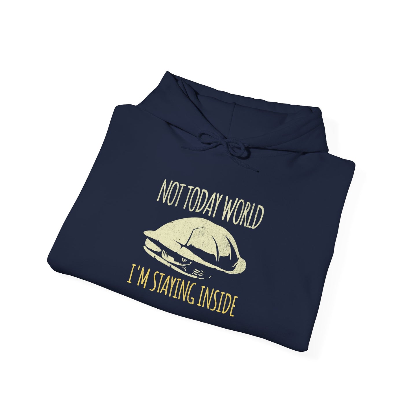 Not Today World Staying Inside Turtle Hoodie, Funny Turtle Hoodie, Introvert Hoodie, Tortoise Hoodie, Antisocial Hoodie, Cozy Meme Sweatshirt, Funny Animal Hoodie