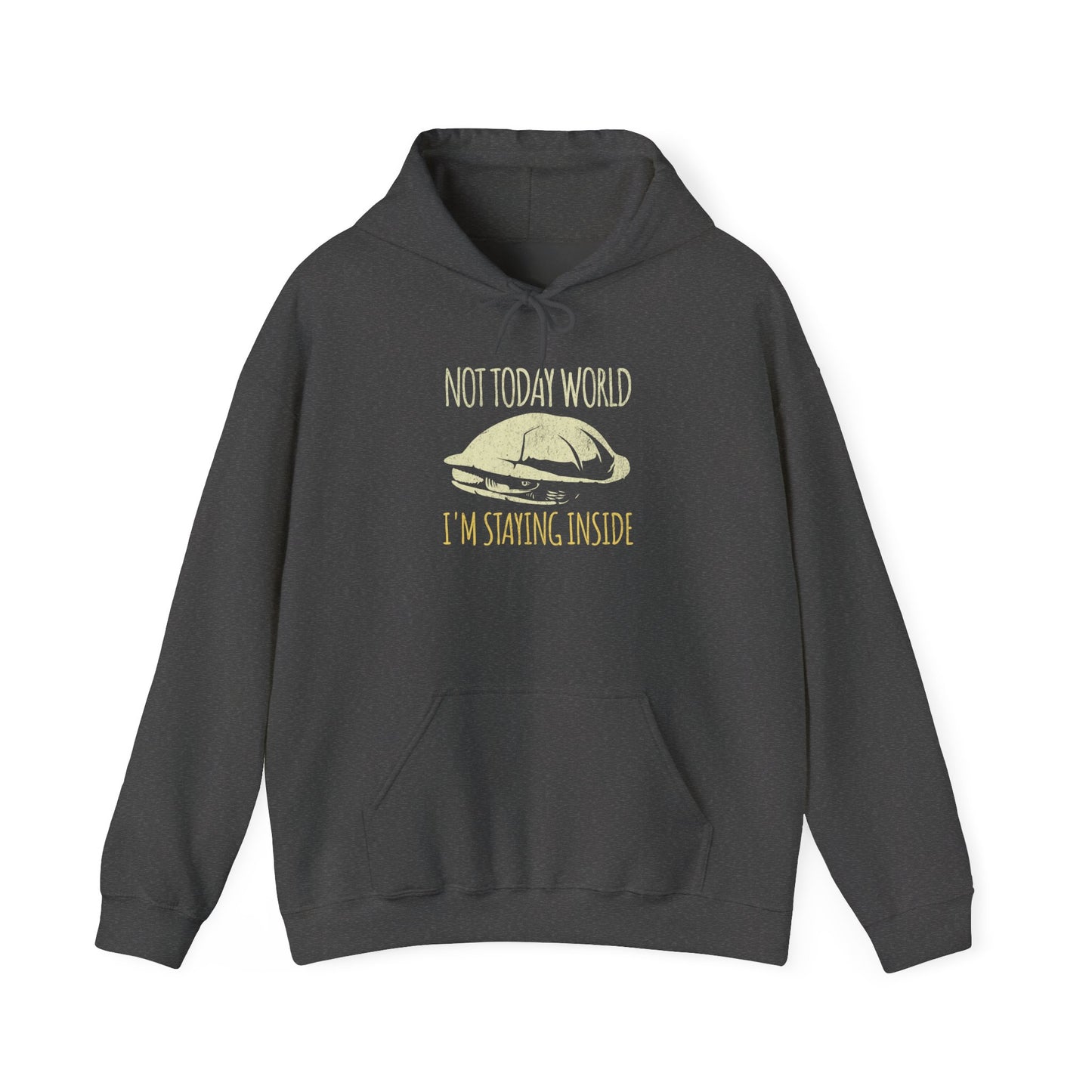 Not Today World Staying Inside Turtle Hoodie, Funny Turtle Hoodie, Introvert Hoodie, Tortoise Hoodie, Antisocial Hoodie, Cozy Meme Sweatshirt, Funny Animal Hoodie