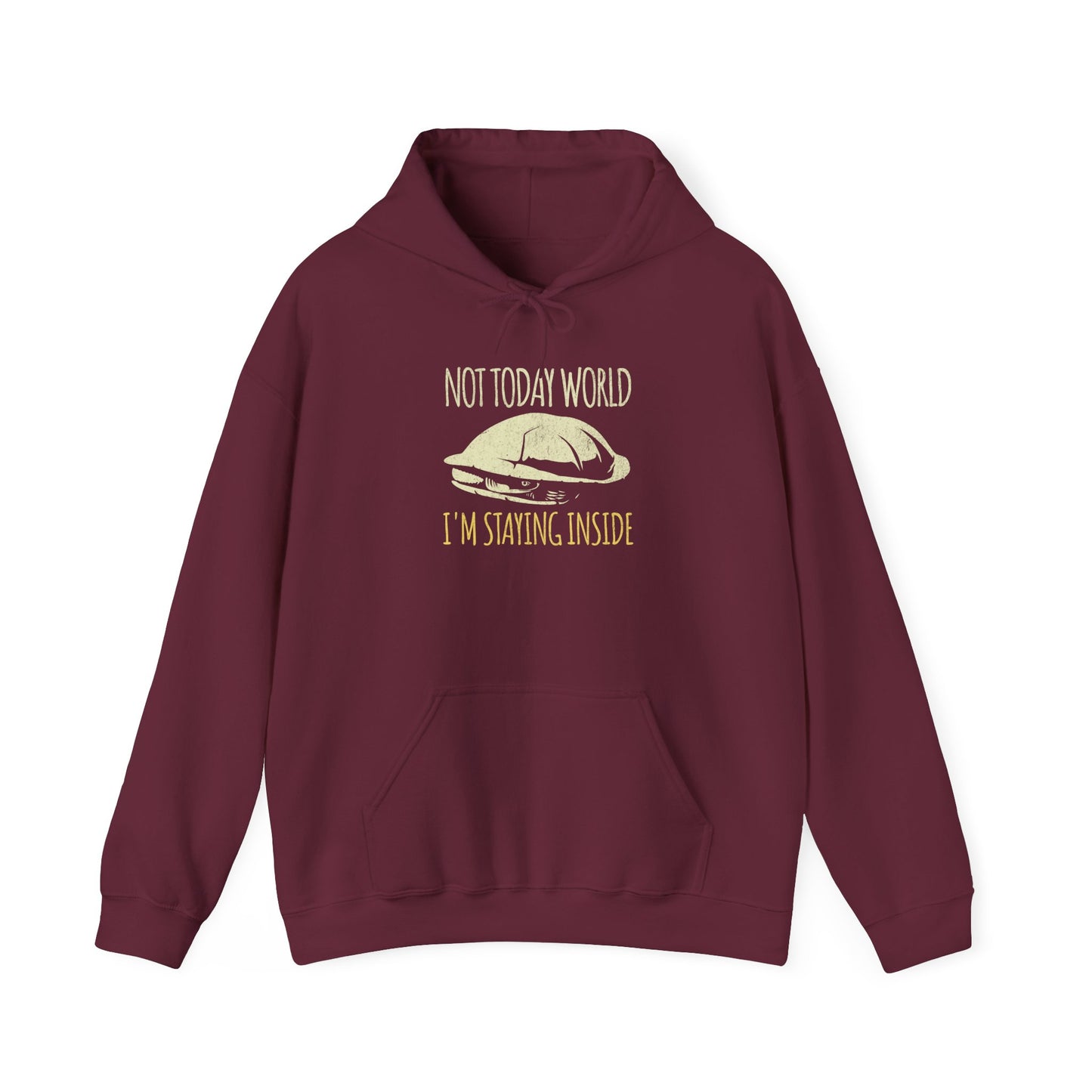 Not Today World Staying Inside Turtle Hoodie, Funny Turtle Hoodie, Introvert Hoodie, Tortoise Hoodie, Antisocial Hoodie, Cozy Meme Sweatshirt, Funny Animal Hoodie