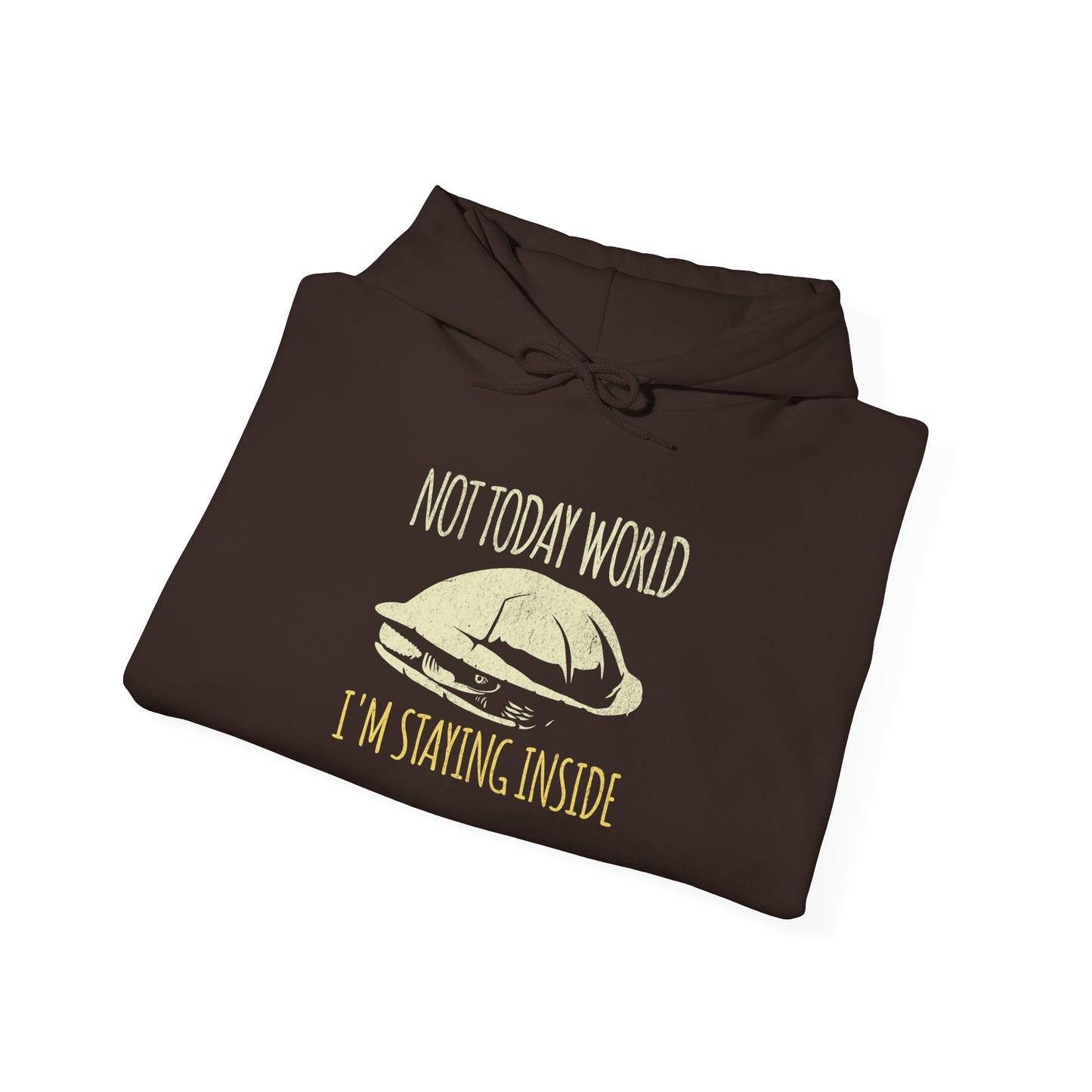 Not Today World Staying Inside Turtle Hoodie, Funny Turtle Hoodie, Introvert Hoodie, Tortoise Hoodie, Antisocial Hoodie, Cozy Meme Sweatshirt, Funny Animal Hoodie