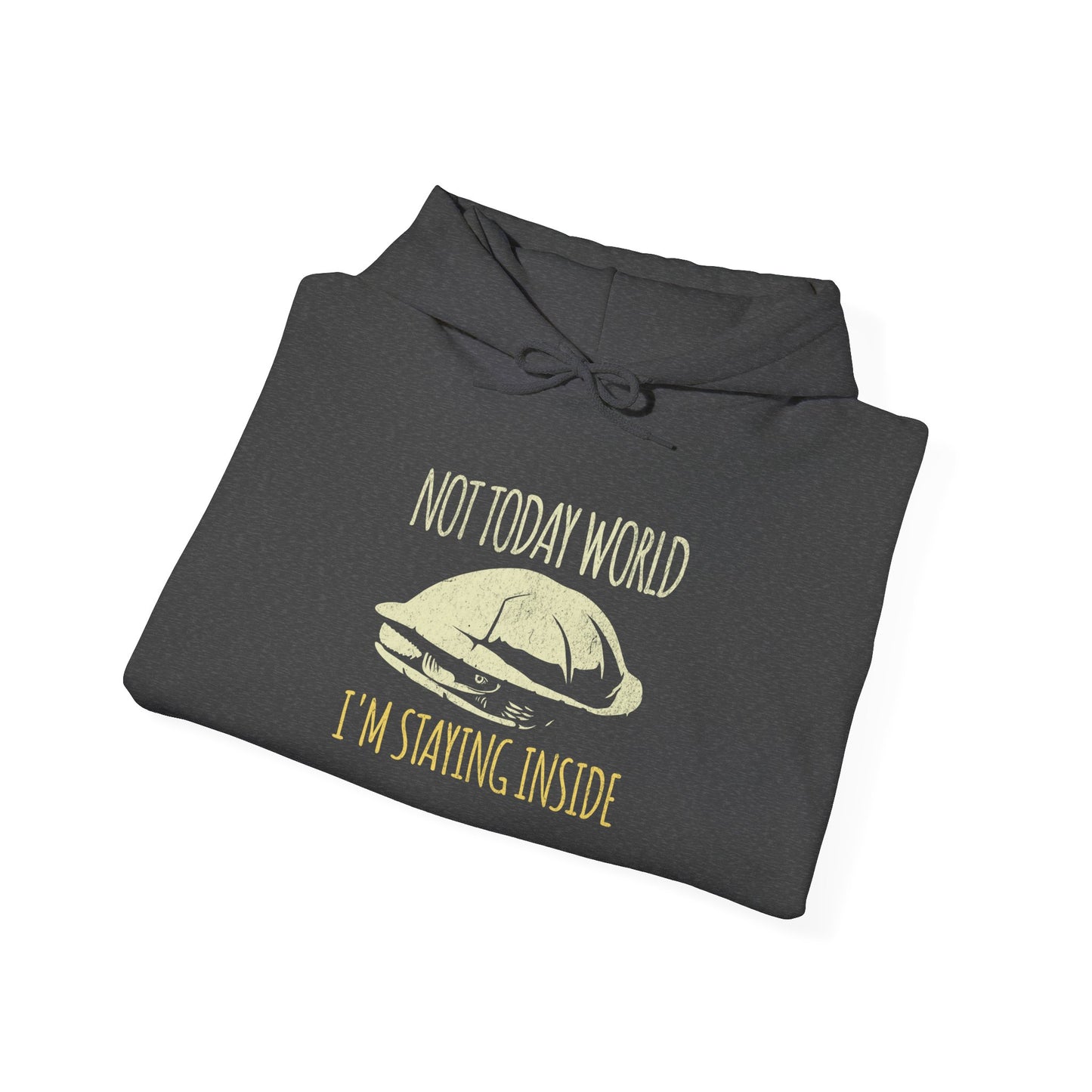 Not Today World Staying Inside Turtle Hoodie, Funny Turtle Hoodie, Introvert Hoodie, Tortoise Hoodie, Antisocial Hoodie, Cozy Meme Sweatshirt, Funny Animal Hoodie