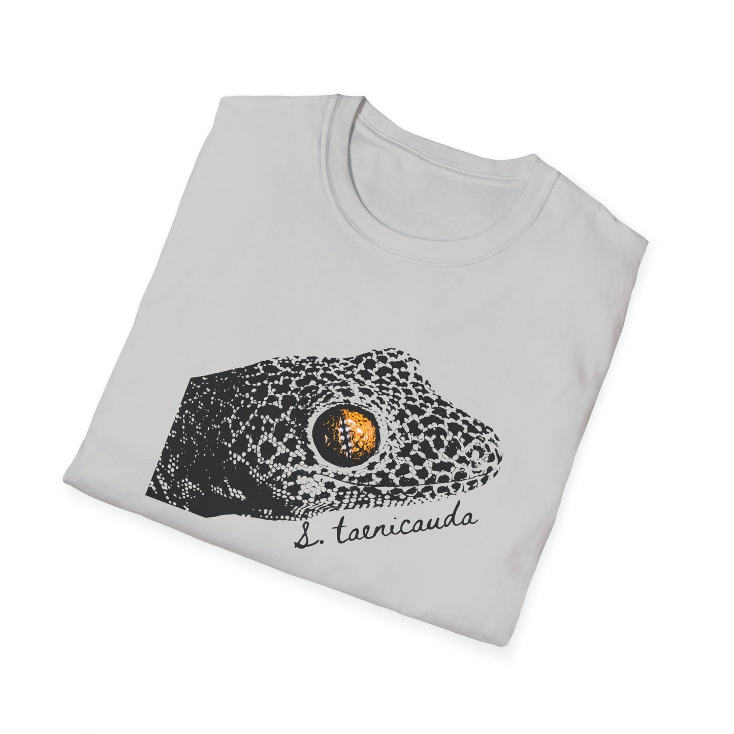 Golden-tailed Gecko T-Shirt – Strophurus taenicauda Australian Reptile Tee